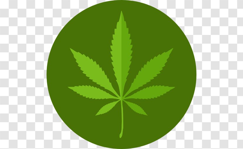 Medical Cannabis Marijuana Card Kush - Leaf - Canabis Transparent PNG