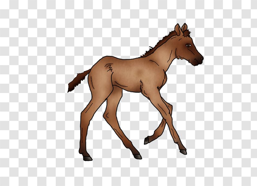 Mustang Foal Colt Stallion Mare - Horse Transparent PNG