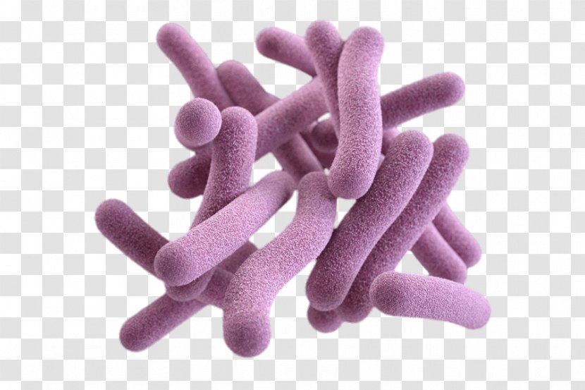 Mycobacterium Tuberculosis Pathogenic Bacteria - Legionella - Bactria Poster Transparent PNG