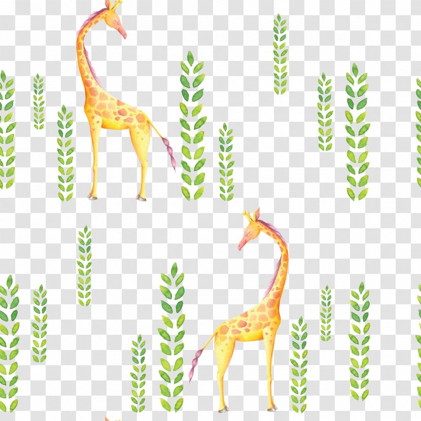 Northern Giraffe Textile Cartoon Clip Art - Area Transparent PNG