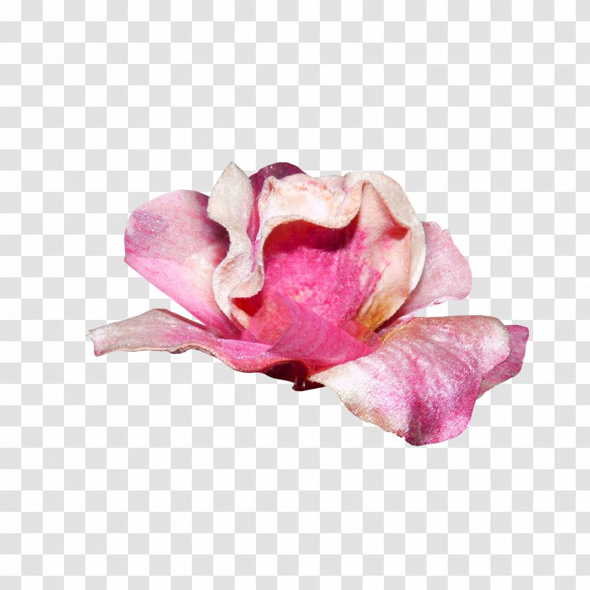 Garden Roses Flower Bouquet Pink - Cut Flowers Transparent PNG