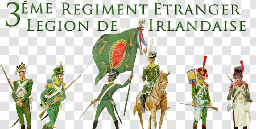 Napoleonic Wars First French Empire Ireland Battle Of Fuentes De Oñoro Irish Legion - Tree - British Army Ranks Transparent PNG