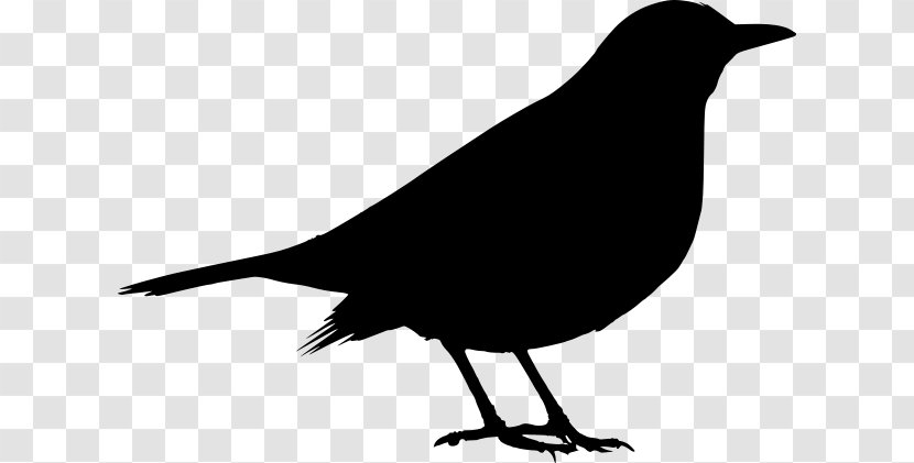 Common Blackbird Clip Art - Bird Transparent PNG