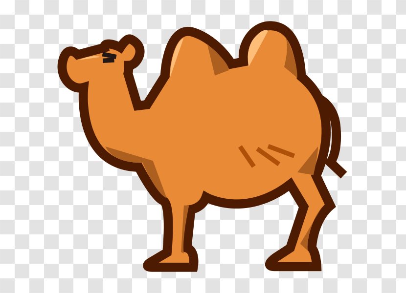 Bactrian Camel Dromedary Milk Clip Art - Livestock - Cartoon Transparent PNG