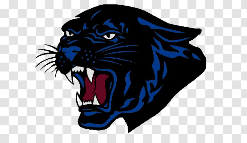 Monahans Fort Stockton High School Carolina Panthers National Secondary KFST Transparent PNG