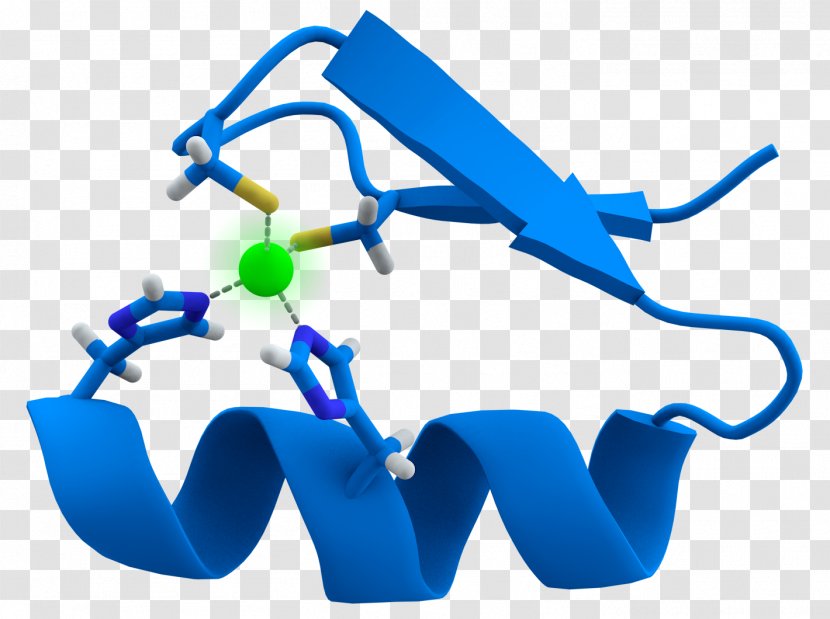 Zinc Finger Nuclease Structural Motif Sequence - Human Behavior - Fingers Transparent PNG