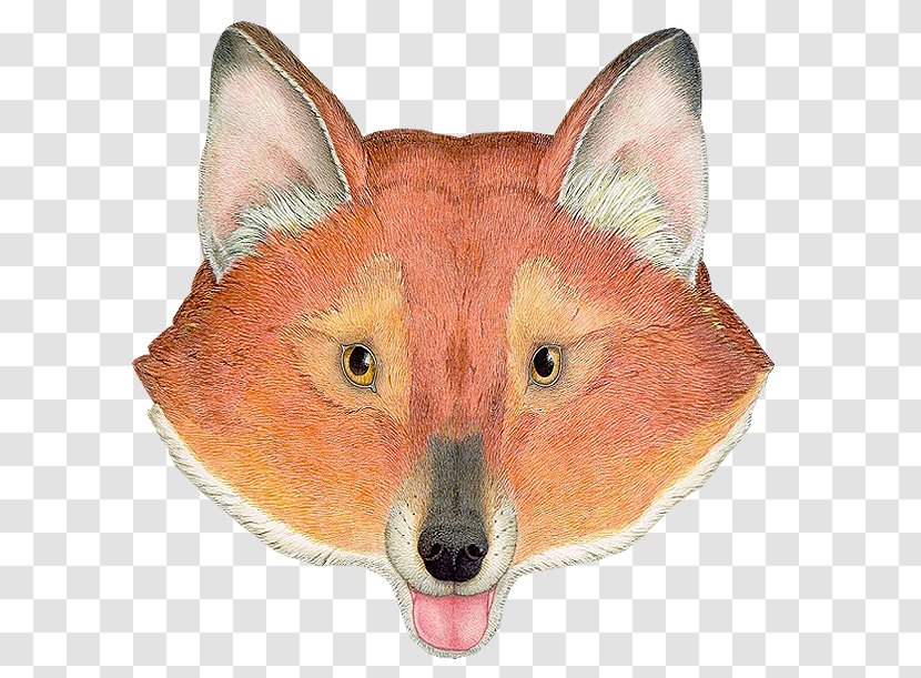 Red Fox Dhole PhotoScape - Zorro Transparent PNG