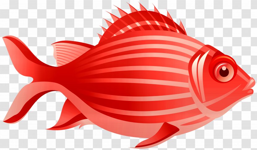 Vector Graphics Illustration Euclidean - Royaltyfree - Red Fish Free Transparent PNG