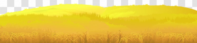 Sunlight Sky Yellow Grain Cereal - Close Up - Autumn Ground Clip Art Image Transparent PNG