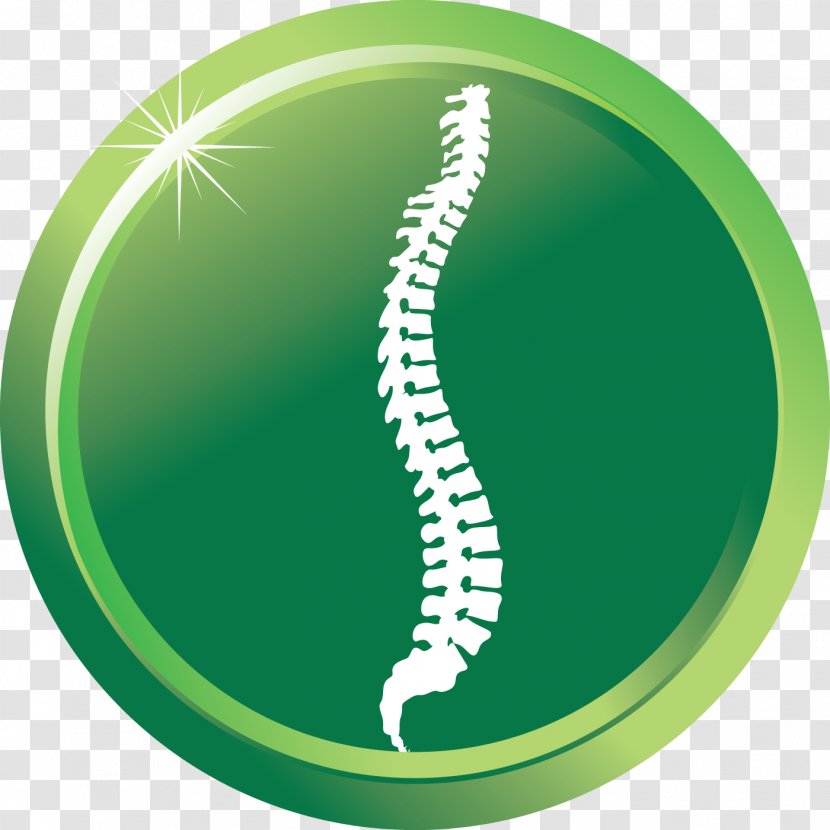 Chiropractic Treatment Techniques Chiropractor Health Care Back Pain - Green - Management Transparent PNG