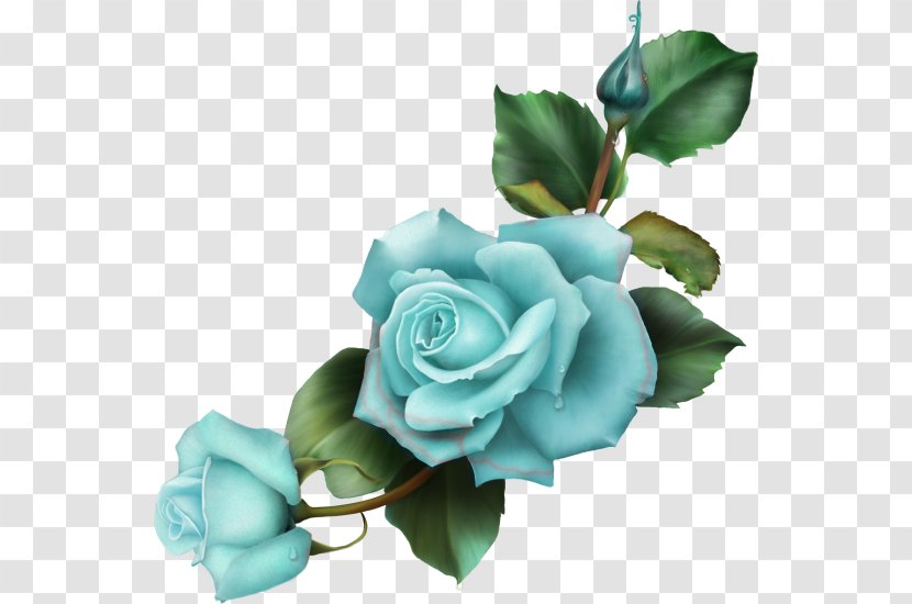 Blue Rose Drawing Flower - Idea Transparent PNG