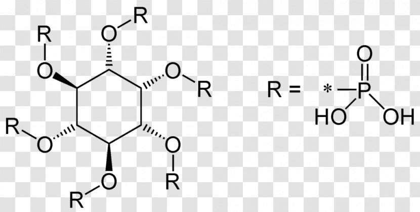 Phytic Acid Inositol Food Organic Compound - Drawing - Parallel Transparent PNG