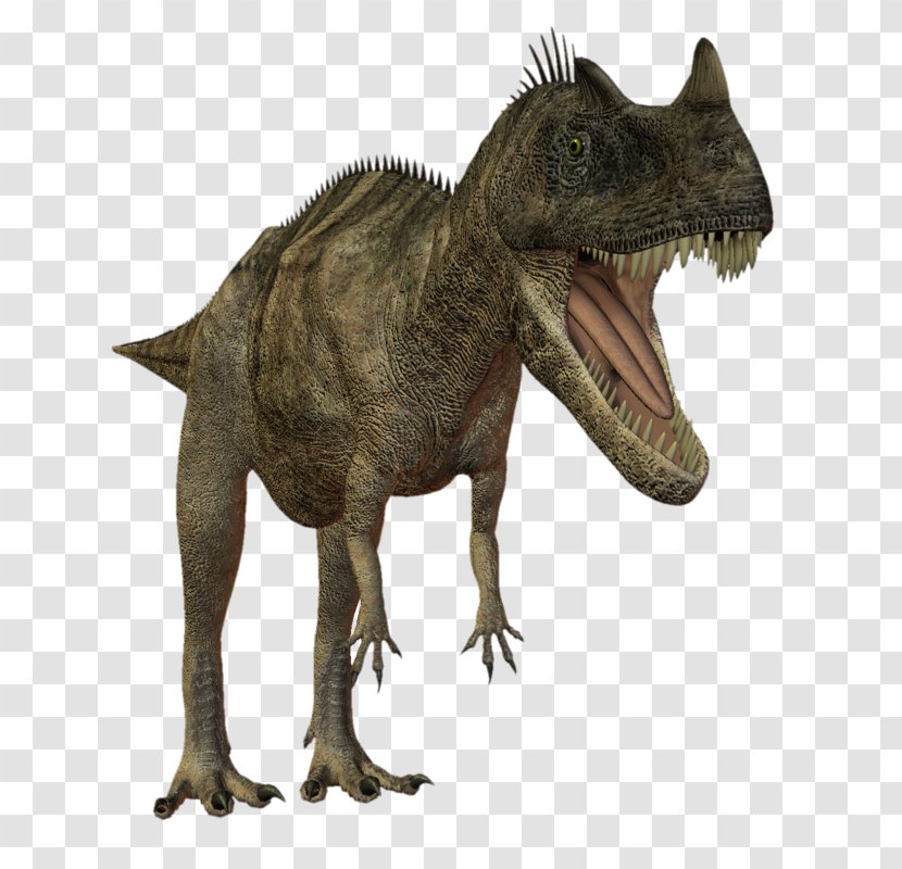 Tyrannosaurus Dinosaur Animal Mesozoic Jurassic - Dinosaurs Transparent PNG