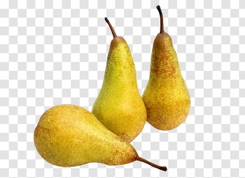 Conference Pear Asian Fruit Stock Photography - Korla Transparent PNG