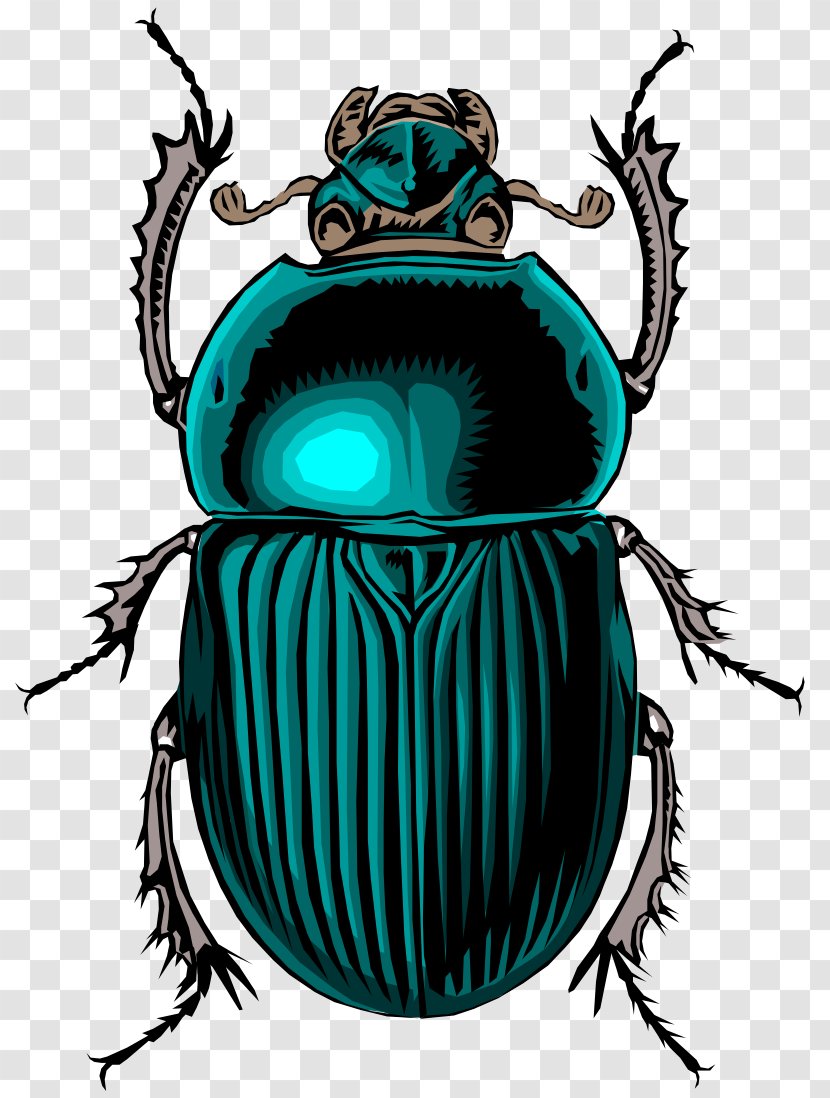 Volkswagen Beetle Dung Clip Art - Cdr - Bug Transparent PNG