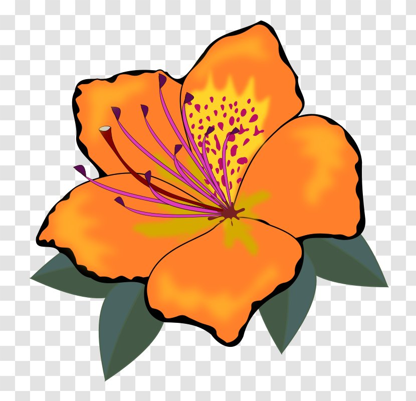 Flower Clip Art - Hibiscus - Orange Flowers Cliparts Transparent PNG
