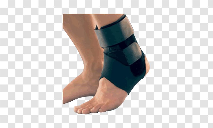 Ankle Brace Sprain Joint Splint - Tree - Stabilize Transparent PNG