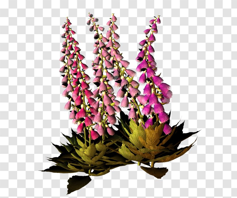Floral Design Cut Flowers Clip Art - Flowering Plant - Fond Ecran Transparent PNG