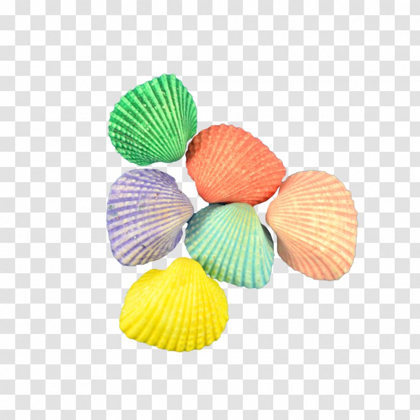 ARK: Survival Evolved The Seashell Company Cockle Craft - Judas Iscariot Transparent PNG
