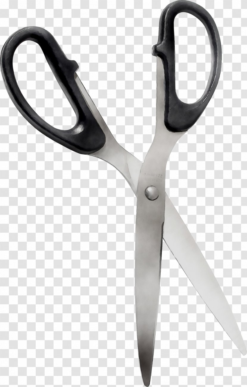Scissors Hair Product Design - Tool Transparent PNG