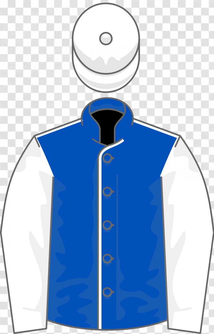 2003 Grand National Aintree Racecourse 2009 2004 Horse Racing - Top Transparent PNG