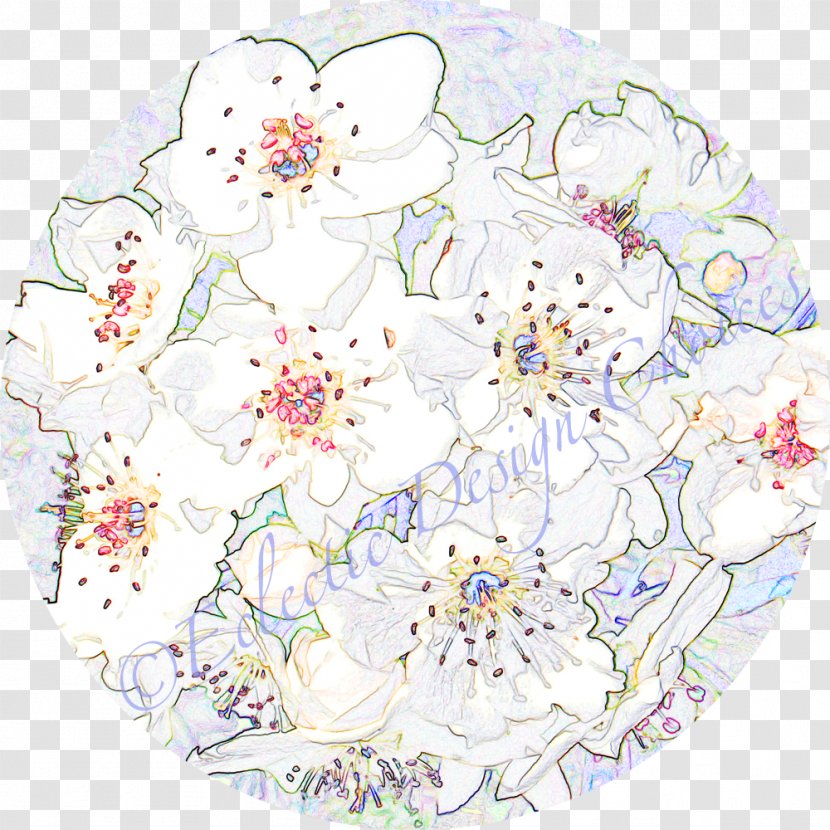 Floral Design Cut Flowers Pattern - Area - Flower Transparent PNG