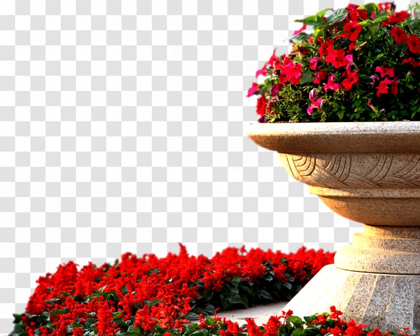 Garden Roses Red - Flowerpot - Flower Bed With Flowers Transparent PNG