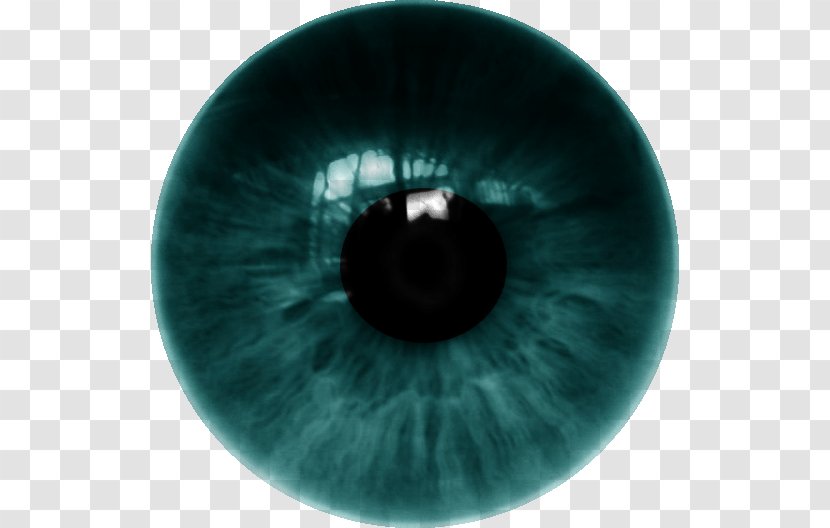 Human Eye Iris Contact Lenses - Flower - LENS Transparent PNG