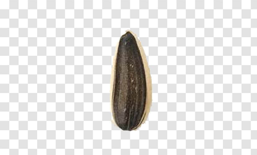 Nut Brown - A Melon Transparent PNG