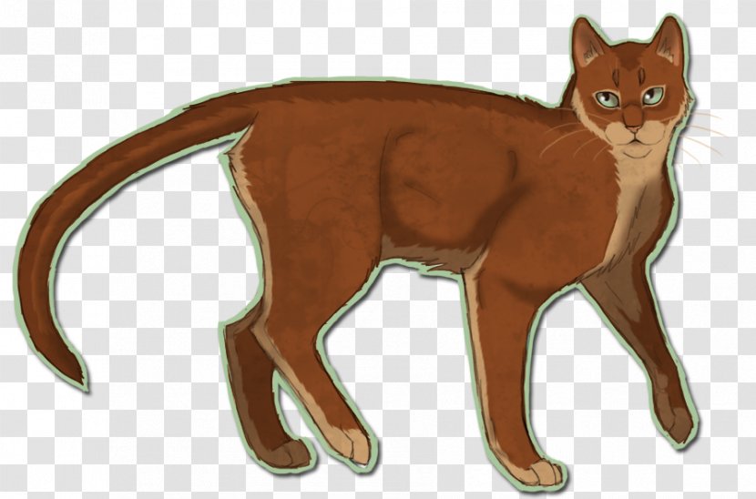 Whiskers Cat Warriors Beechfur Cloudtail - Claw Transparent PNG