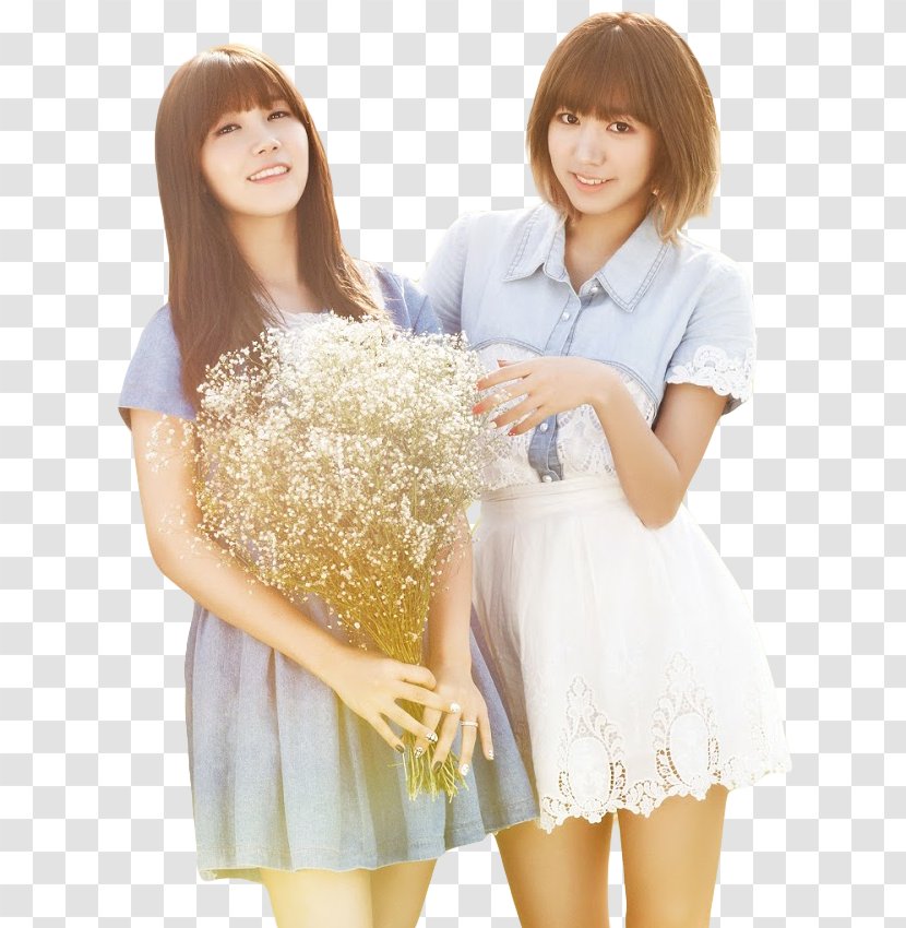 Jung Eun-ji Oh Ha-young Apink Secret Garden - Cartoon - Wind Transparent PNG