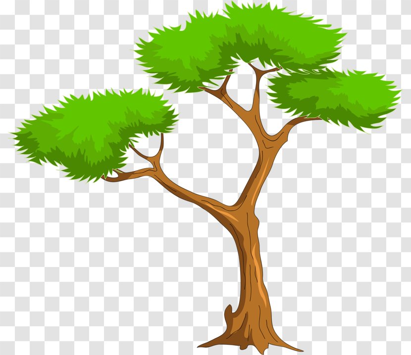Clip Art Trees And Leaves Image Vector Graphics - Leaf - Houseplant Transparent PNG