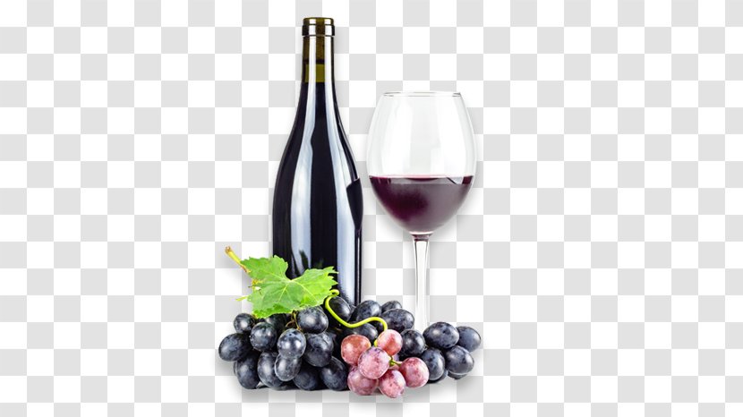Red Wine Cooler Enoteca Pilotti Common Grape Vine - White Transparent PNG