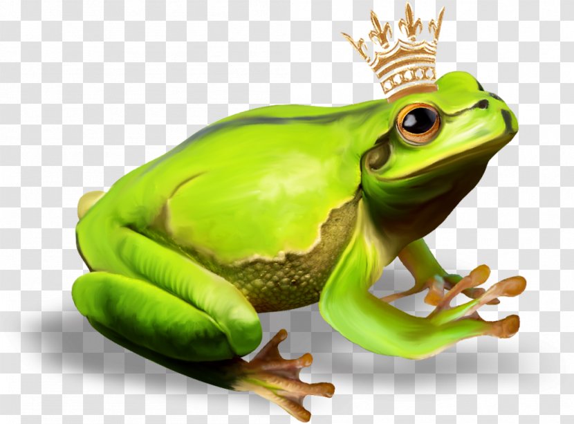 The Frog Prince True - Organism Transparent PNG