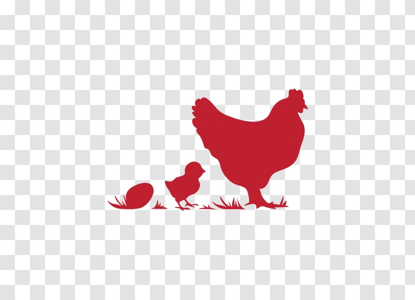 Rooster Chicken Poultry Farming Egg - As Food Transparent PNG