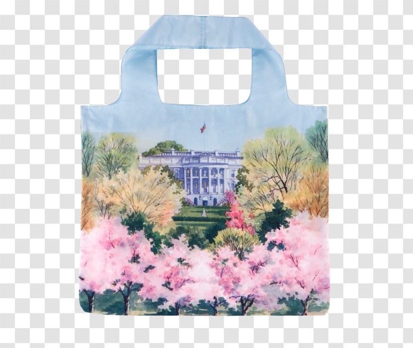 White House Tidal Basin Cherry Blossom - Watercolor Transparent PNG
