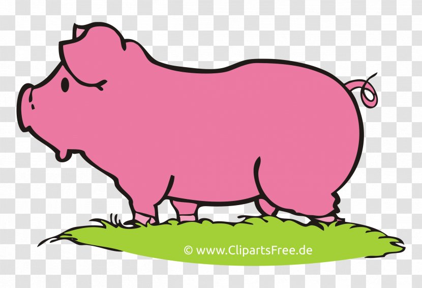 Pig Royalty-free Clip Art - Cattle Like Mammal - Illustration Cartoon Transparent PNG