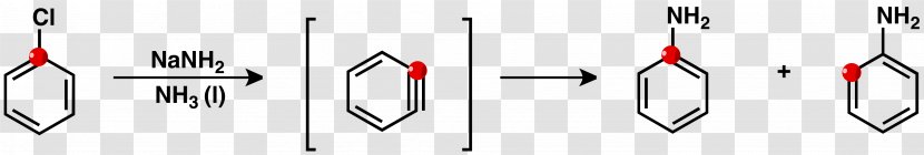 Aryne Chlorobenzene Aniline Chemistry Chemical Reaction - Rearrangement - Intermediate Transparent PNG