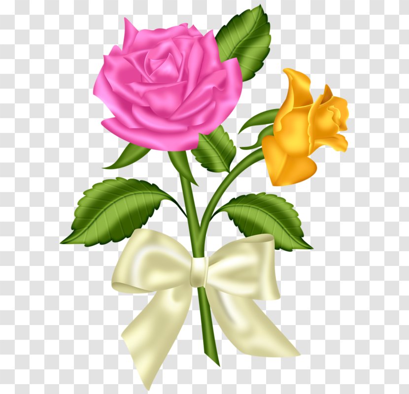 Flower Pink Blue Rose Clip Art - Fresh Flowers Transparent PNG