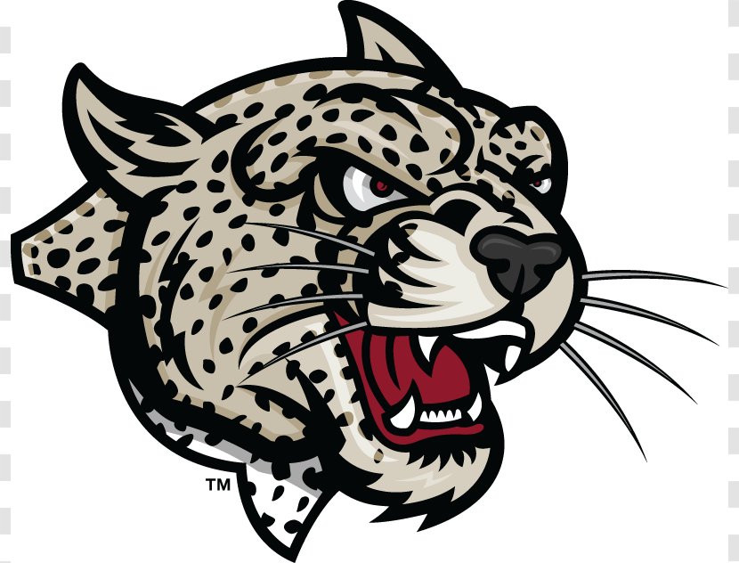 Lafayette College Leopards Football Lehigh Mountain Hawks Colgate University Rider - Jaguar - Leopard Cliparts Transparent PNG