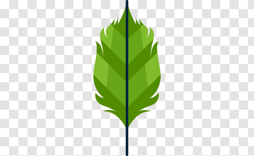 Leaf - Plant Stem Transparent PNG