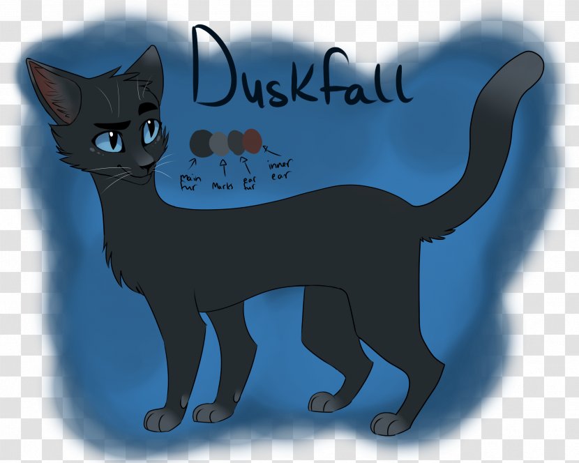 Korat Black Cat Kitten Whiskers Domestic Short-haired - Fiction Transparent PNG
