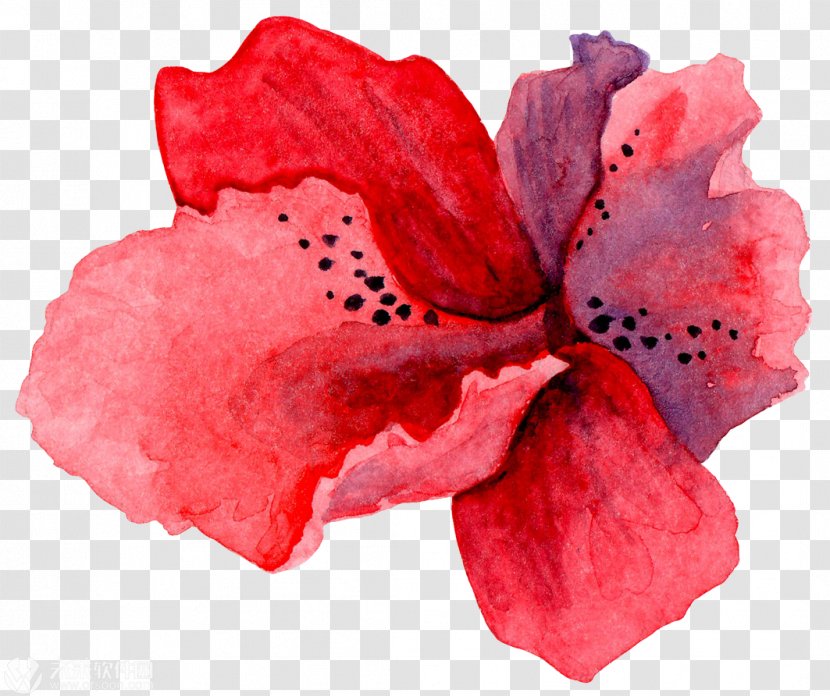 Watercolor Painting Royalty-free - Art - Flower Transparent PNG