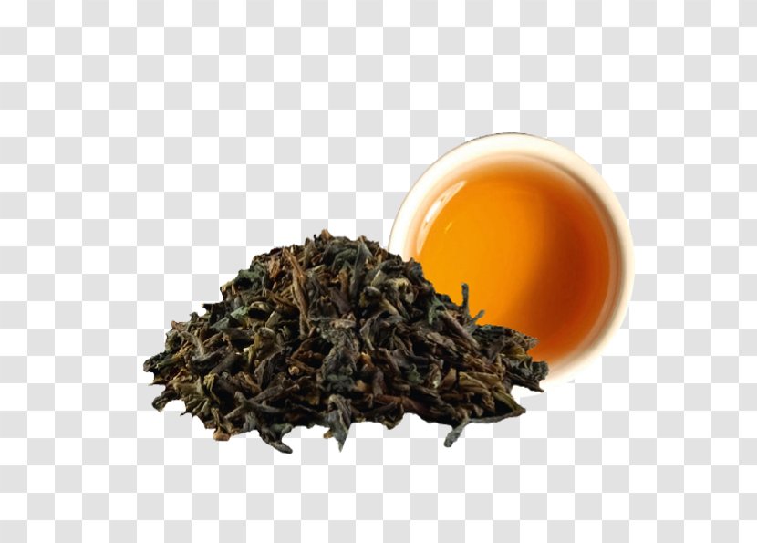 Darjeeling Tea Nilgiri Dianhong Oolong - Gyokuro Transparent PNG