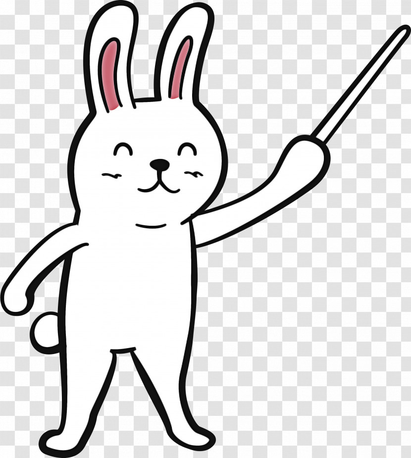 Hares Line Art Whiskers Meter Line Transparent PNG