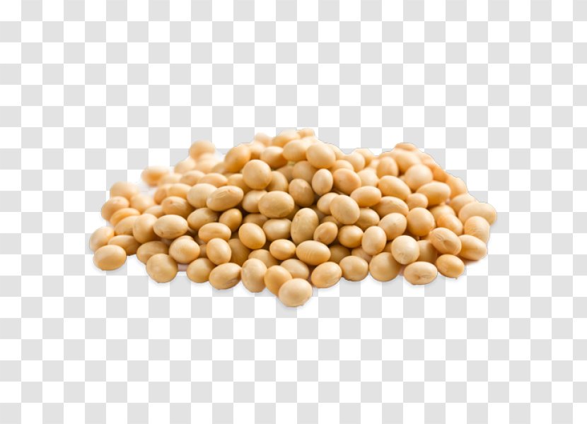 Soy Milk Soybean Oil Genetically Modified Legume - Soya Transparent PNG