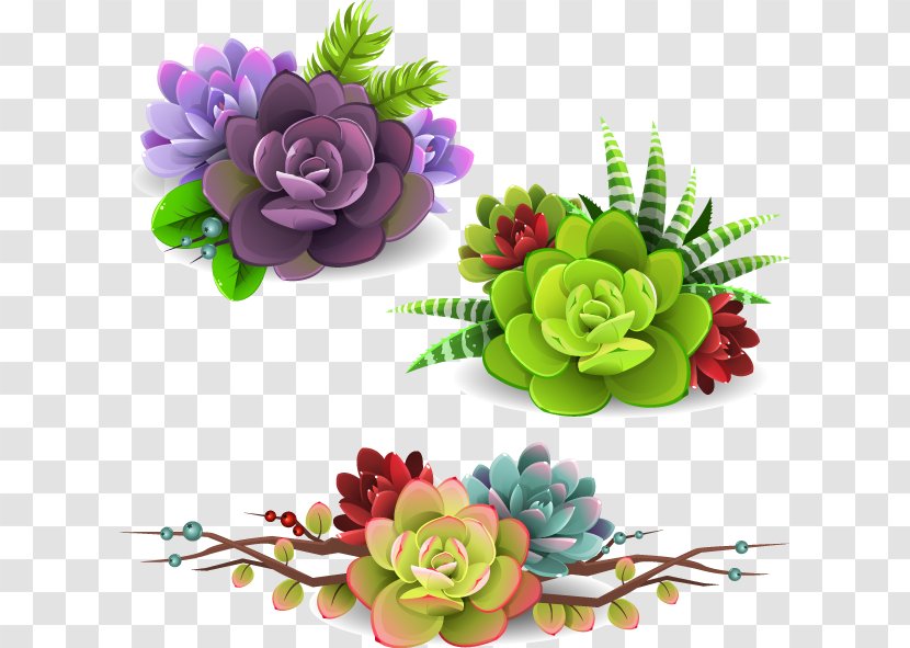 Succulent Plant - Floral Design - Vector Watercolor Flower Transparent PNG
