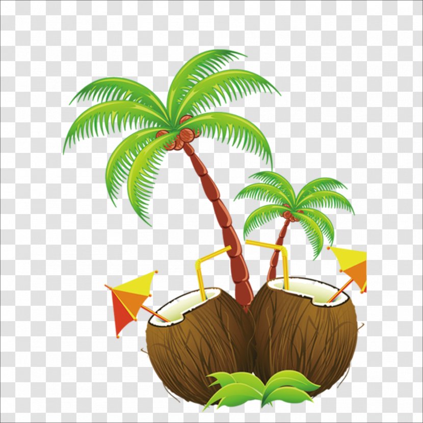 Hawaii Island Clip Art - Free Content - Coconut Transparent PNG