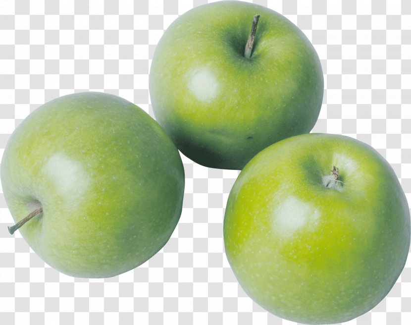 Apple Fruit Clip Art - Rootstock - GREEN APPLE Transparent PNG