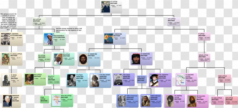 Human Y-chromosome DNA Haplogroup Y Chromosome Rockefeller Family E-M96 - Recent African Origin Of Modern Humans - Organization Transparent PNG
